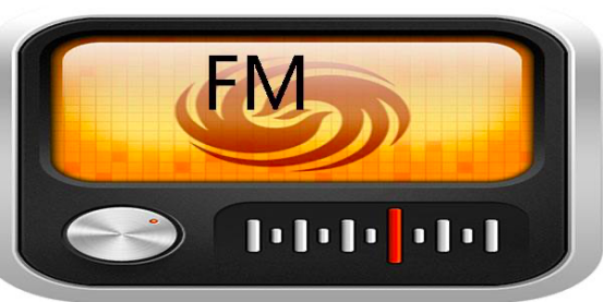 FM,AM,DAB通用性低噪声放大器SW2010