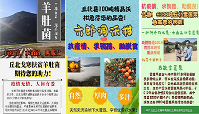 战疫不放松,扶贫不止步 ——长江联合集团助力云南丘北消费扶贫 战疫不放松,扶贫不止步 ——长江联合集团助力云南丘北消费扶贫