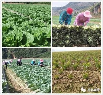 用心用情帮扶 落实落地见效 ——“万企帮万村”在戈寒村凸显成效 用心用情帮扶 落实落地见效 ——“万企帮万村”在戈寒村凸显成效