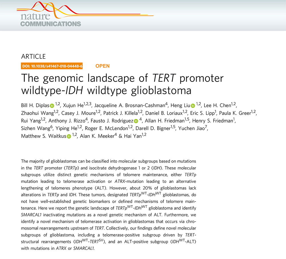 Scientists of Genetron Health Again Define Key Pathogenic Gene for Malignant Gliomas Scientists of Genetron Health Again Define Key Pathogenic Gene for Malignant Gliomas