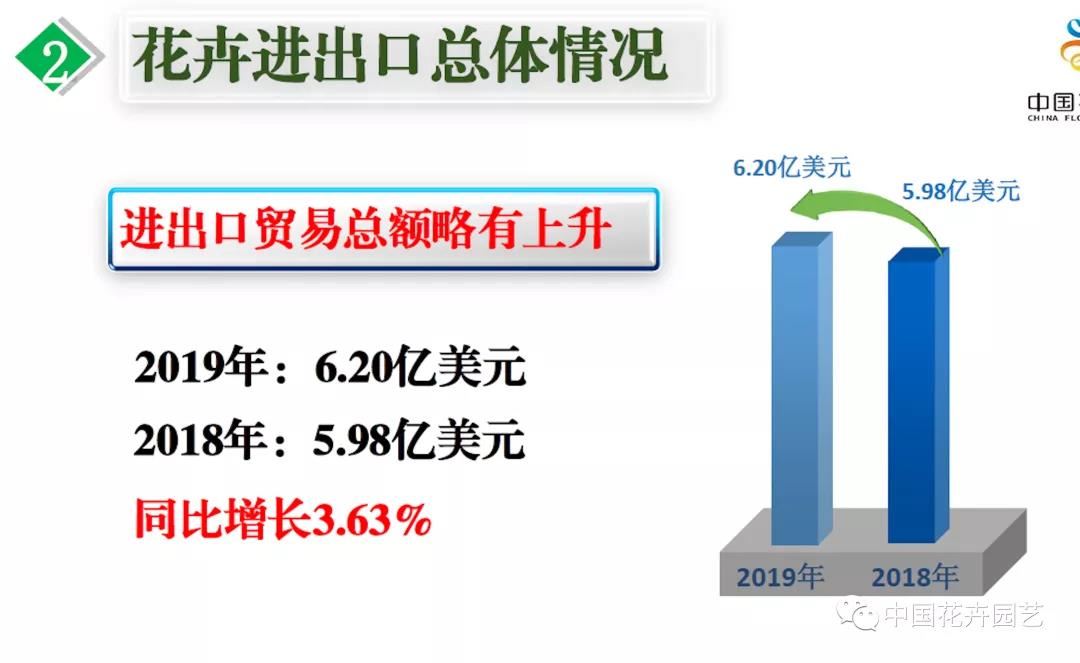 信心来了！2019年花卉出口保持增速，进口10年来首降 | 2020全国花卉形势分析会