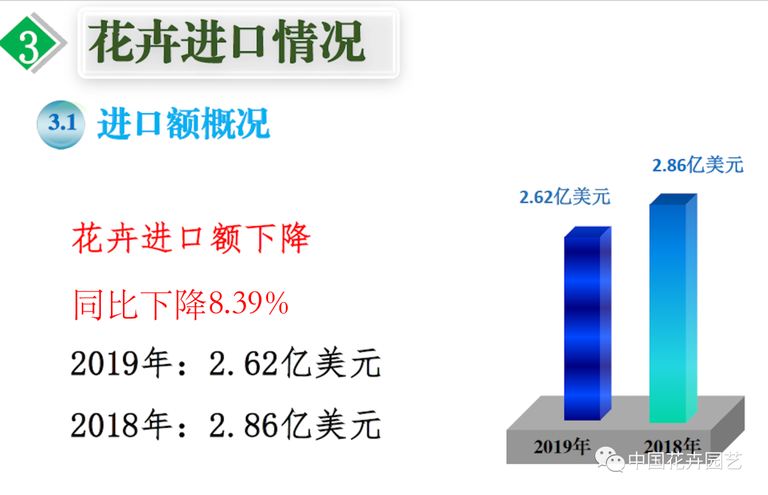 信心来了！2019年花卉出口保持增速，进口10年来首降 | 2020全国花卉形势分析会