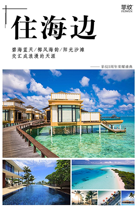 图解菲纹五周年盛会