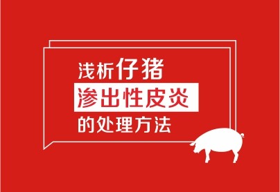 淺析仔豬滲出性皮炎的處理方法