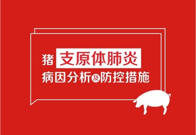 豬支原體肺炎的病因分析及防控措施