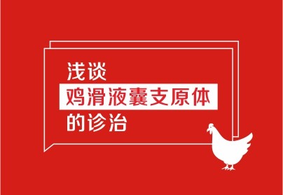 淺談雞滑液囊支原體的診治