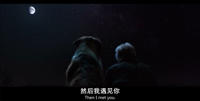影视投资:从“狗仗人势”到大彻大悟,一条狗的成长励志史 影视投资:从“狗仗人势”到大彻大悟,一条狗的成长励志史