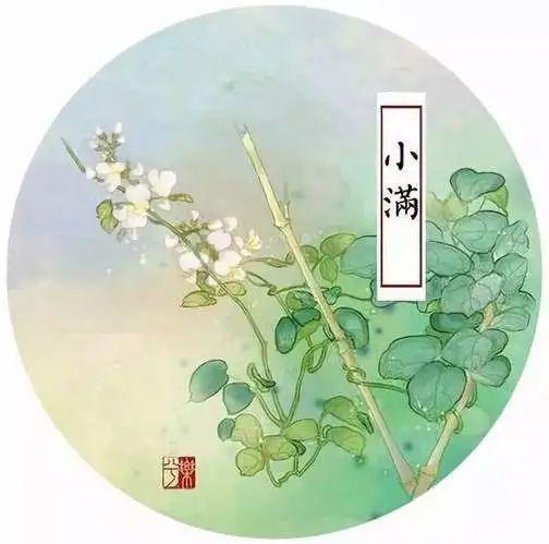  小滿節(jié)氣到：夏日“版圖”快速擴(kuò)張 防蚊妙招快收好