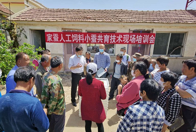家蚕人工饲料小蚕共育技术现场培训会在五莲举行 家蚕人工饲料小蚕共育技术现场培训会在五莲举行