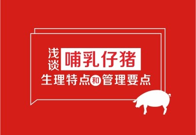 淺談哺乳仔豬的生理特點和管理要點