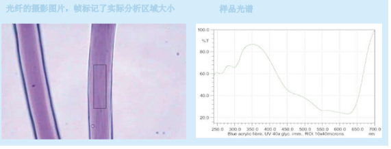 J&M显微分光光度计