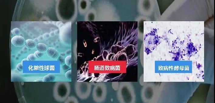 看过来,夏季汽车开空调5大实用妙招 看过来,夏季汽车开空调5大实用妙招