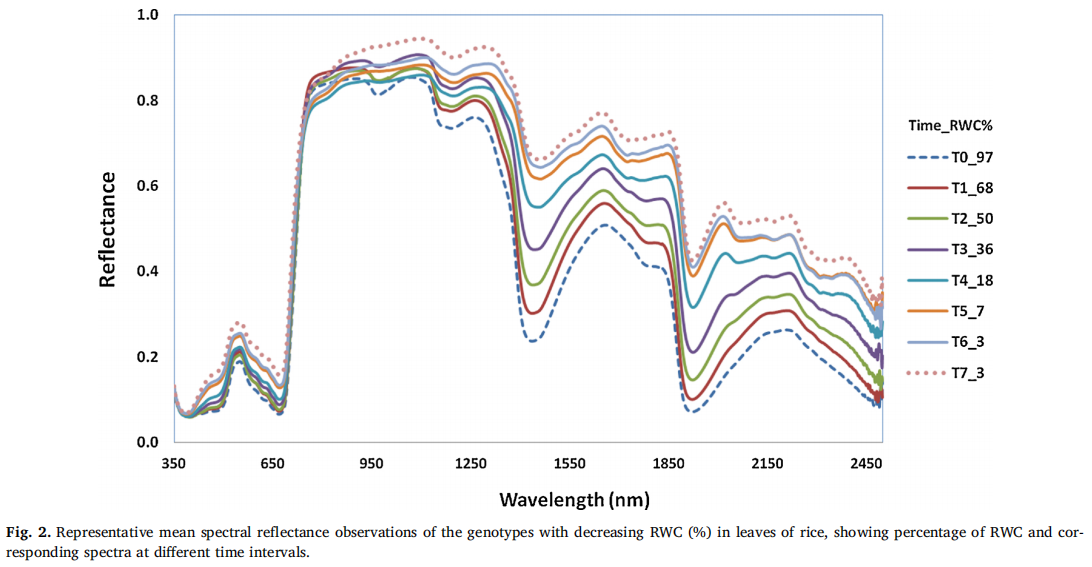 高光谱遥感监测水稻缺水胁迫的各种建模方法的比较