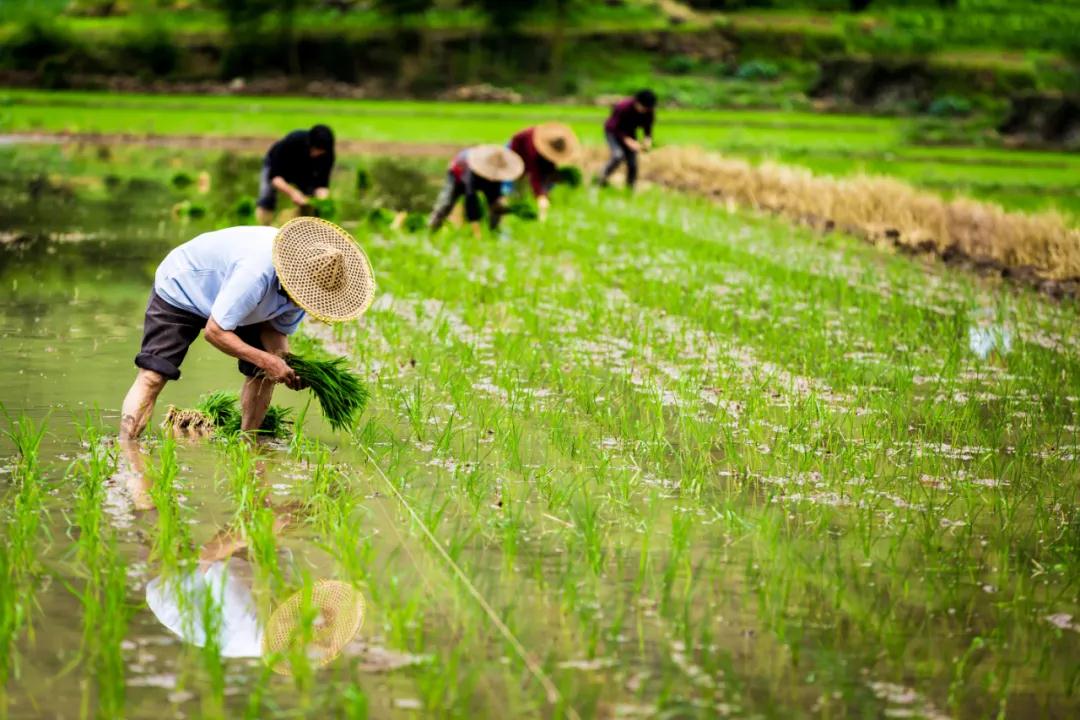 探索团建 | “向往的生活”，给浮躁的心情放一个假