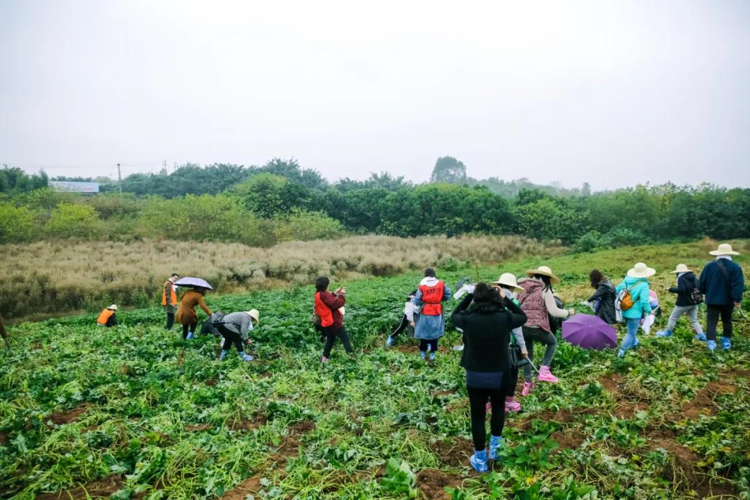 探索团建 | “向往的生活”，给浮躁的心情放一个假