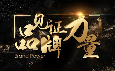 品牌策划—品牌的力量 品牌策划—品牌的力量