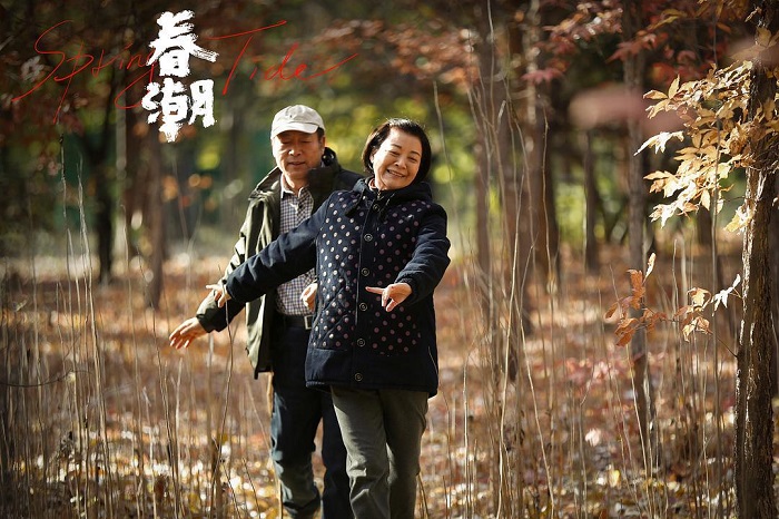 影视投资:家庭伦理大戏 原生大家庭对人的成长究竟有多大的影响? 影视投资:家庭伦理大戏 原生大家庭对人的成长究竟有多大的影响?