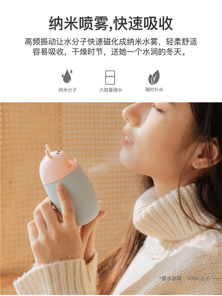 暖手宝补水仪氛围灯迷你加湿器]