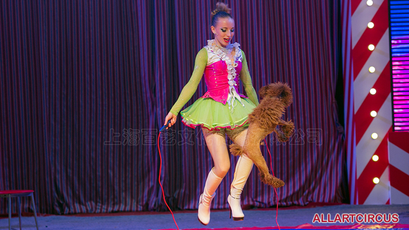萌宠旺旺秀《PET DOG》 萌宠旺旺秀《PET DOG》