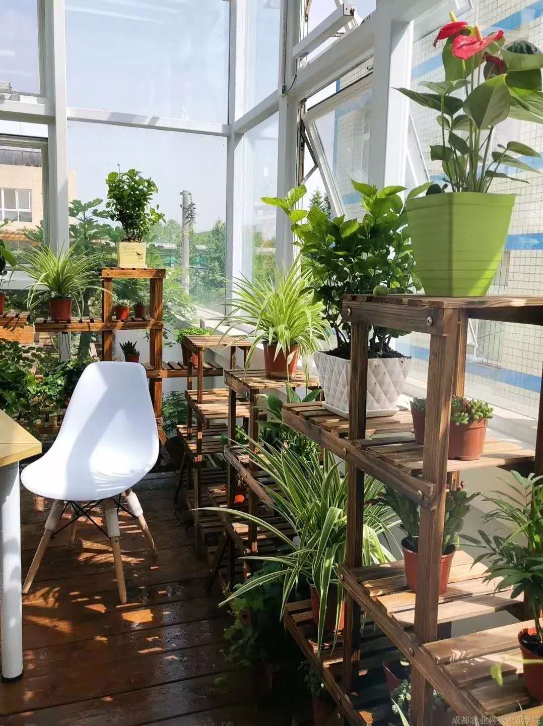破解植物租赁公司养盆花技巧 破解植物租赁公司养盆花技巧