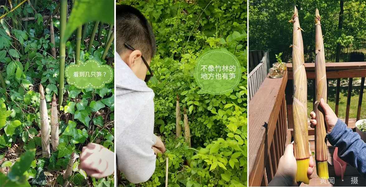 疫情下对话美国景观建筑师 | 俞昌斌&黄闻的问与答 疫情下对话美国景观建筑师 | 俞昌斌&黄闻的问与答