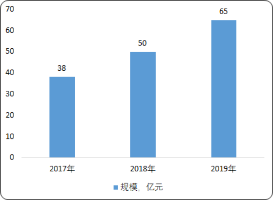 2020年美容仪行业细分产品市场全景分析及市场占有率研究