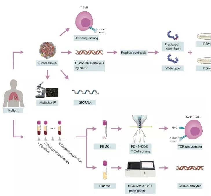 享·01期 | 基因检测技术如何赋能肿瘤新药研发？
