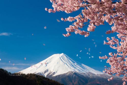 對(duì)于富士山，日本人懷有怎樣的感情？