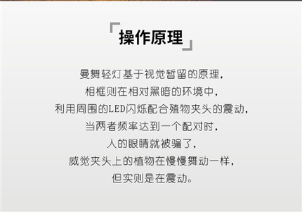 匠艺曼舞轻灯榉木_玄关床头小夜灯