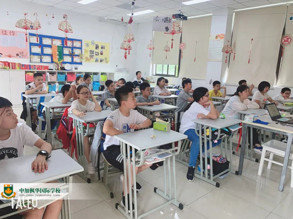 枫华国际小学部开展垃圾分类主题班会活动
