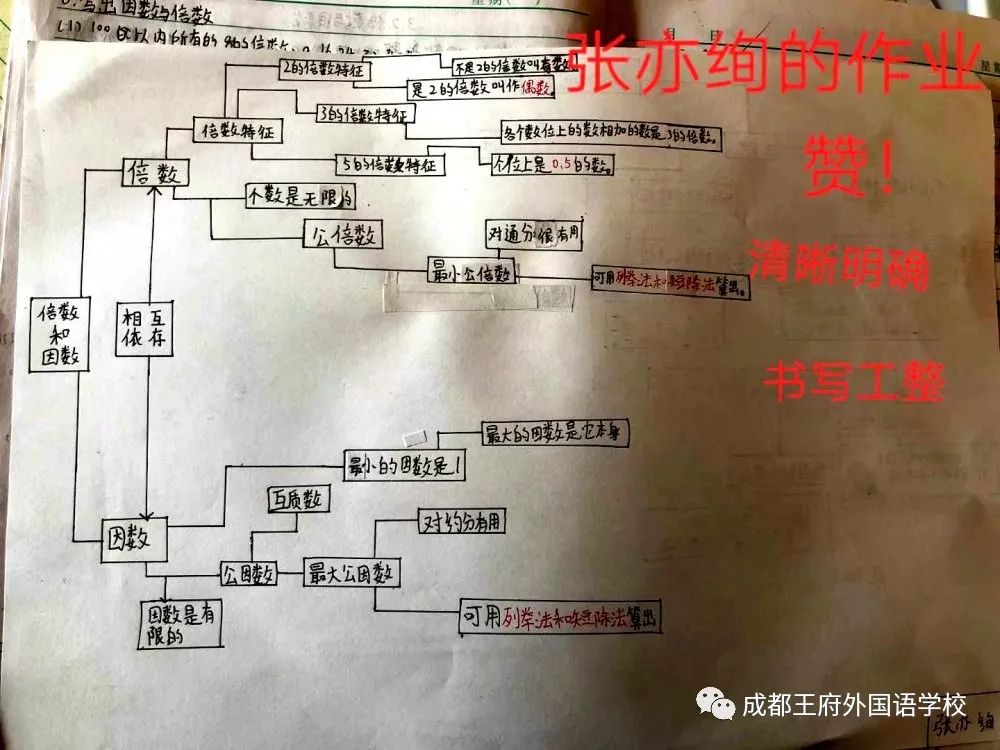 看成都王府小学部如何“玩转”数学