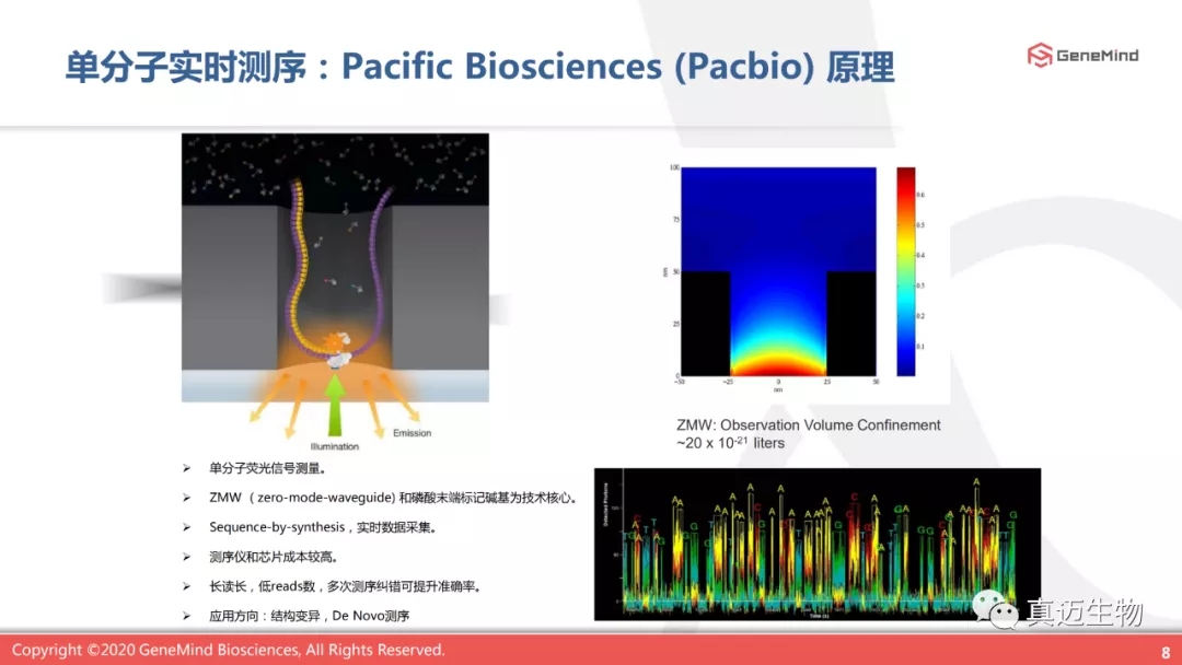 课程回顾丨单分子基因测序:了解病毒,战胜病毒 课程回顾丨单分子基因测序:了解病毒,战胜病毒
