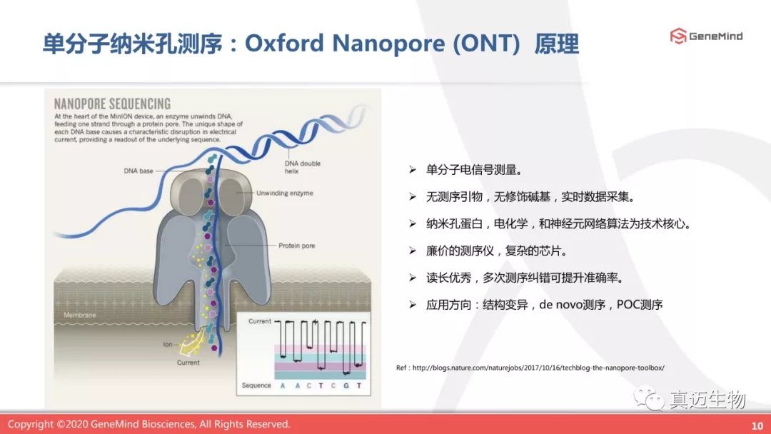 课程回顾丨单分子基因测序:了解病毒,战胜病毒 课程回顾丨单分子基因测序:了解病毒,战胜病毒