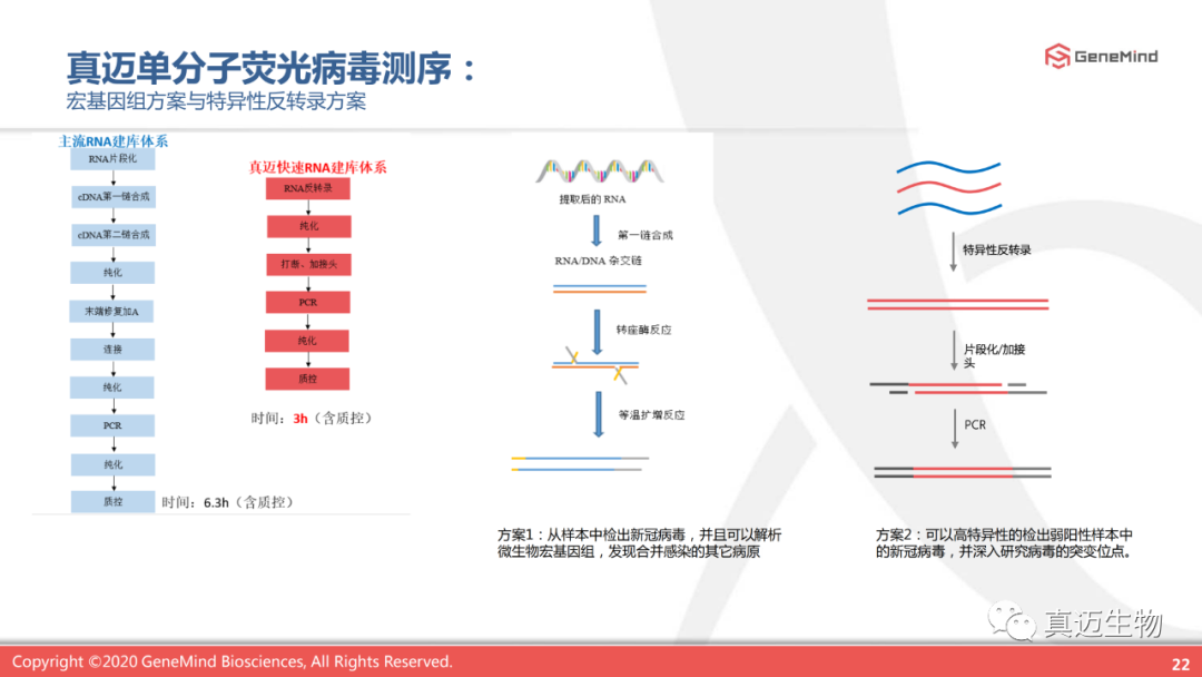 课程回顾丨单分子基因测序:了解病毒,战胜病毒 课程回顾丨单分子基因测序:了解病毒,战胜病毒