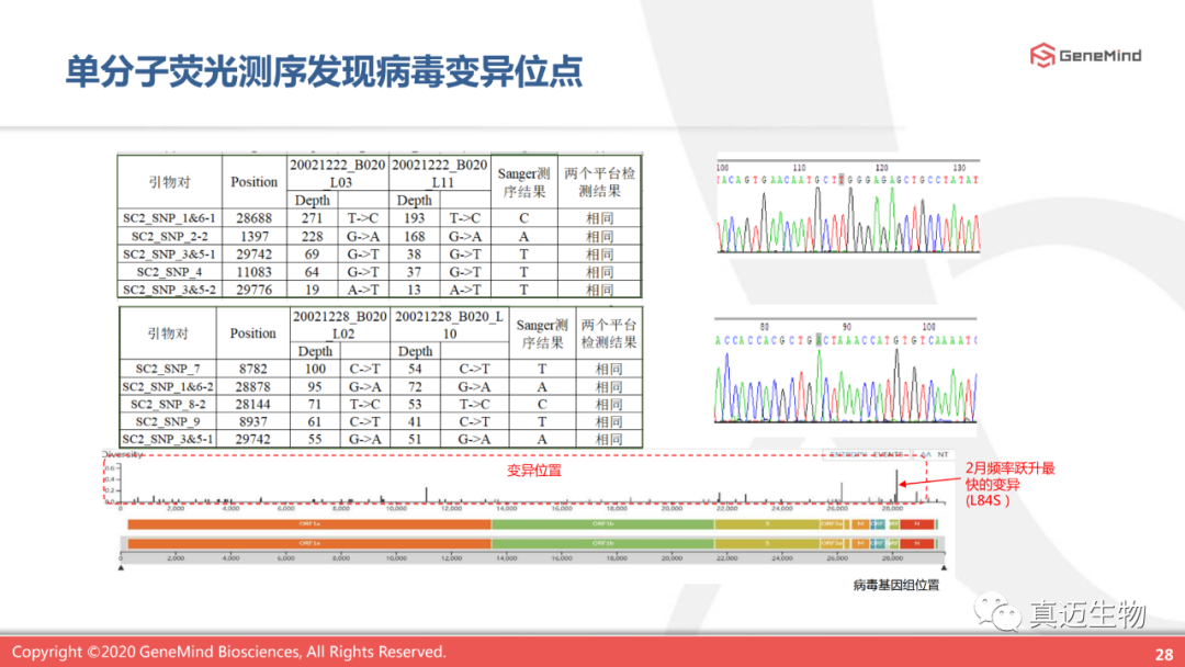课程回顾丨单分子基因测序:了解病毒,战胜病毒 课程回顾丨单分子基因测序:了解病毒,战胜病毒
