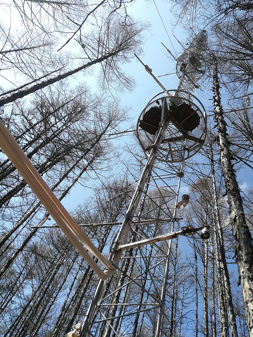 内蒙古大兴安岭森林生态系统国家野外科学观测研究站 碳-水同位素廓线观测系统