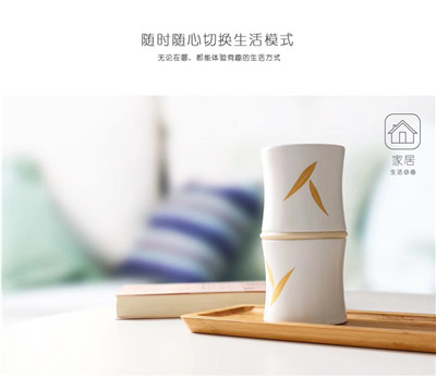 快客杯旅行功夫茶具套装_ 家用便携包式