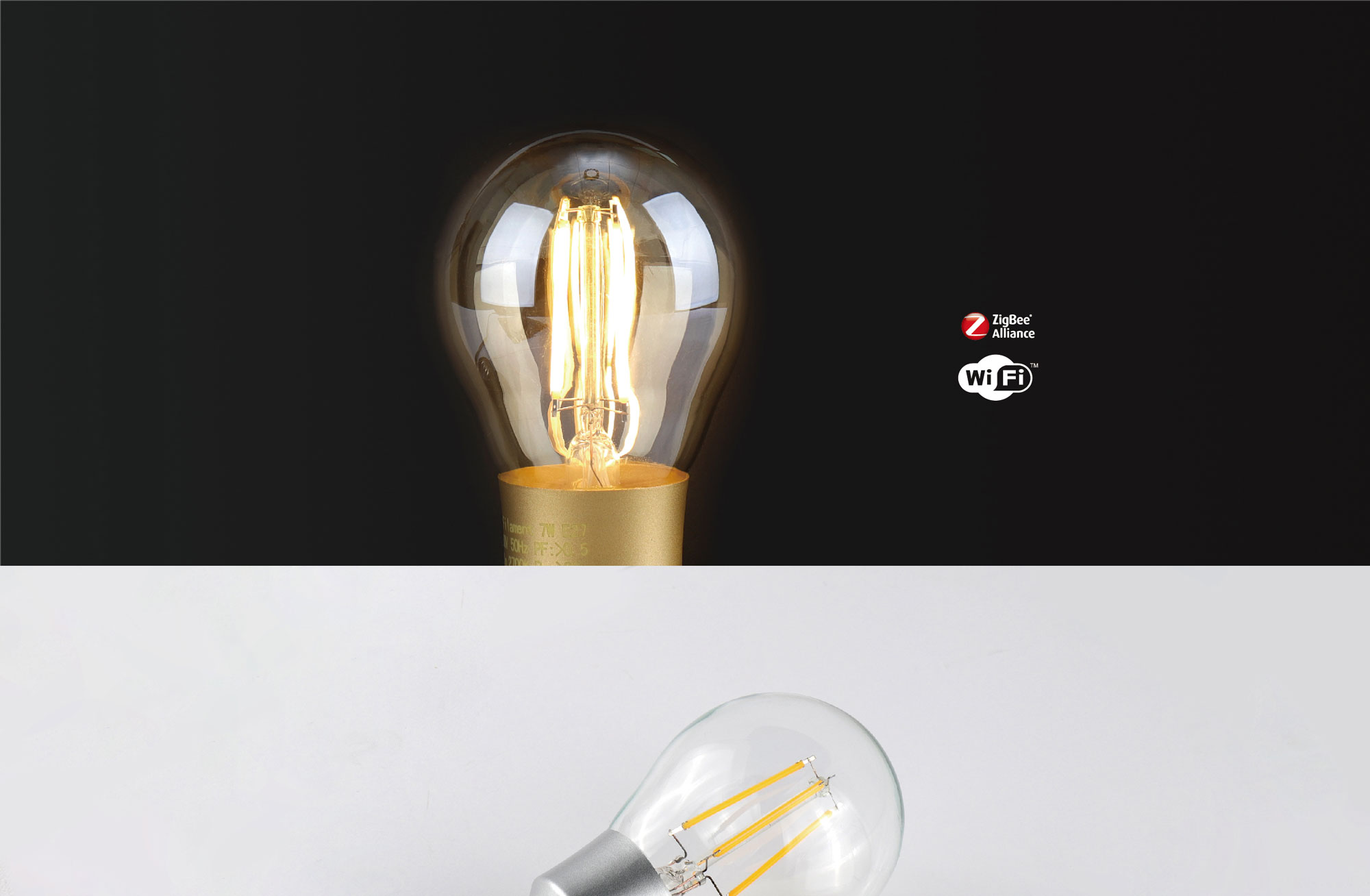 Filament Bulb K80079