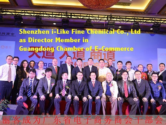 广东省电子商务商会宣传部长单位