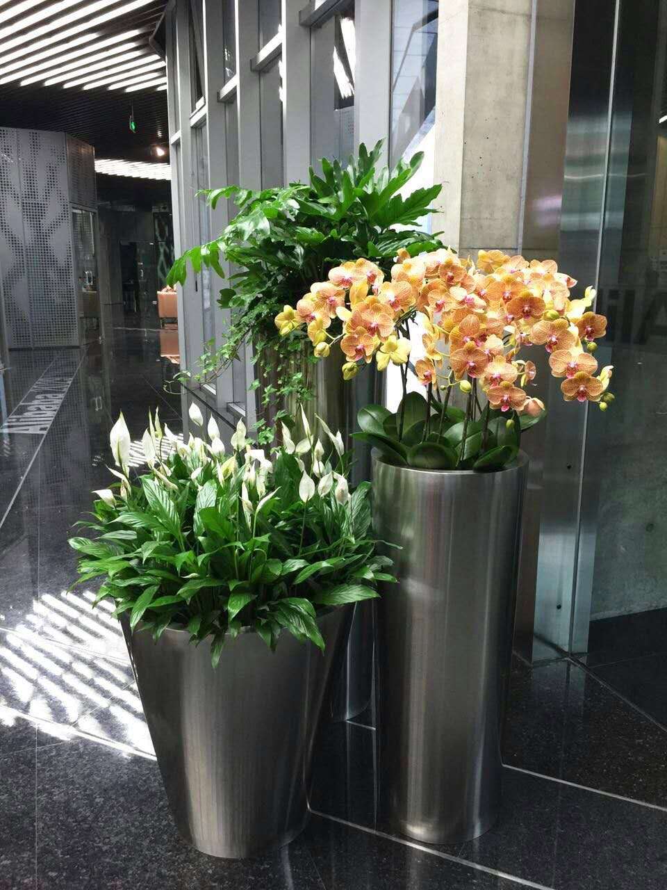 植物租赁优势 植物租赁优势