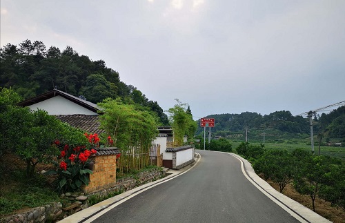 沧海变桑田 河滩成果园