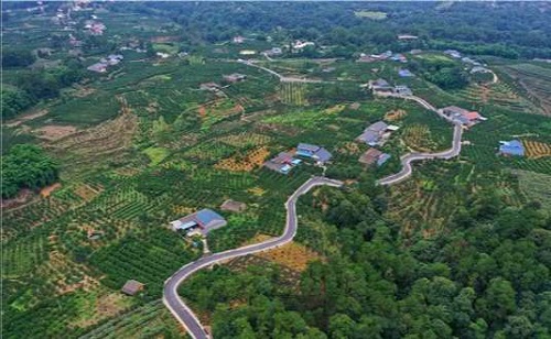 沧海变桑田 河滩成果园