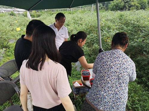 滄海變桑田 河灘成果園