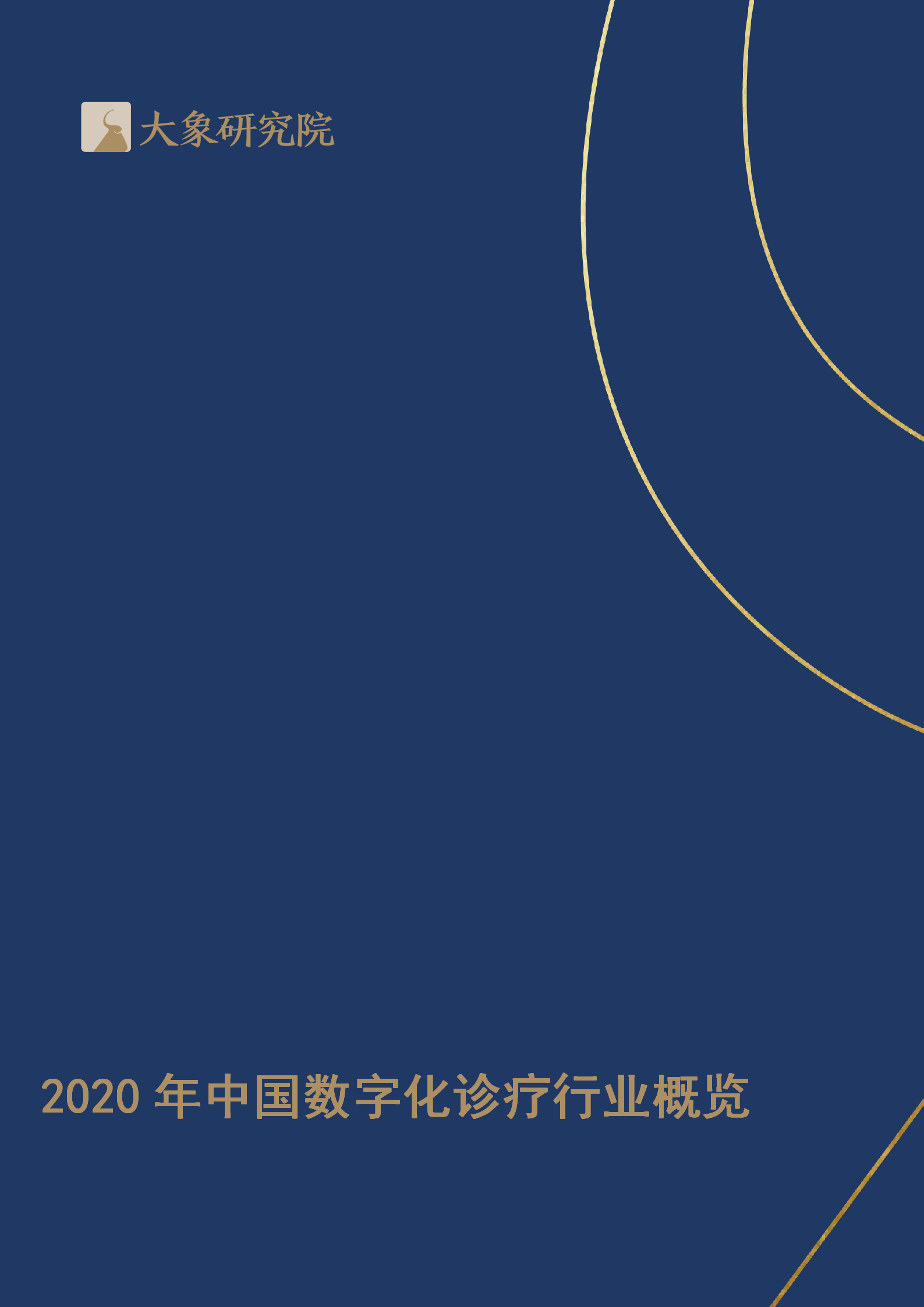 【大象研究院】2020年中國數(shù)字化診療行業(yè)概覽