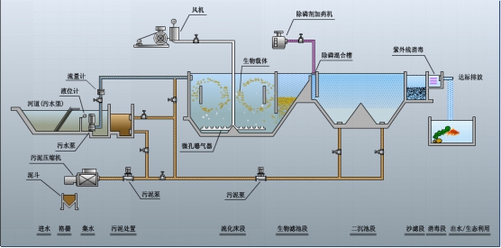 生物法 生物法