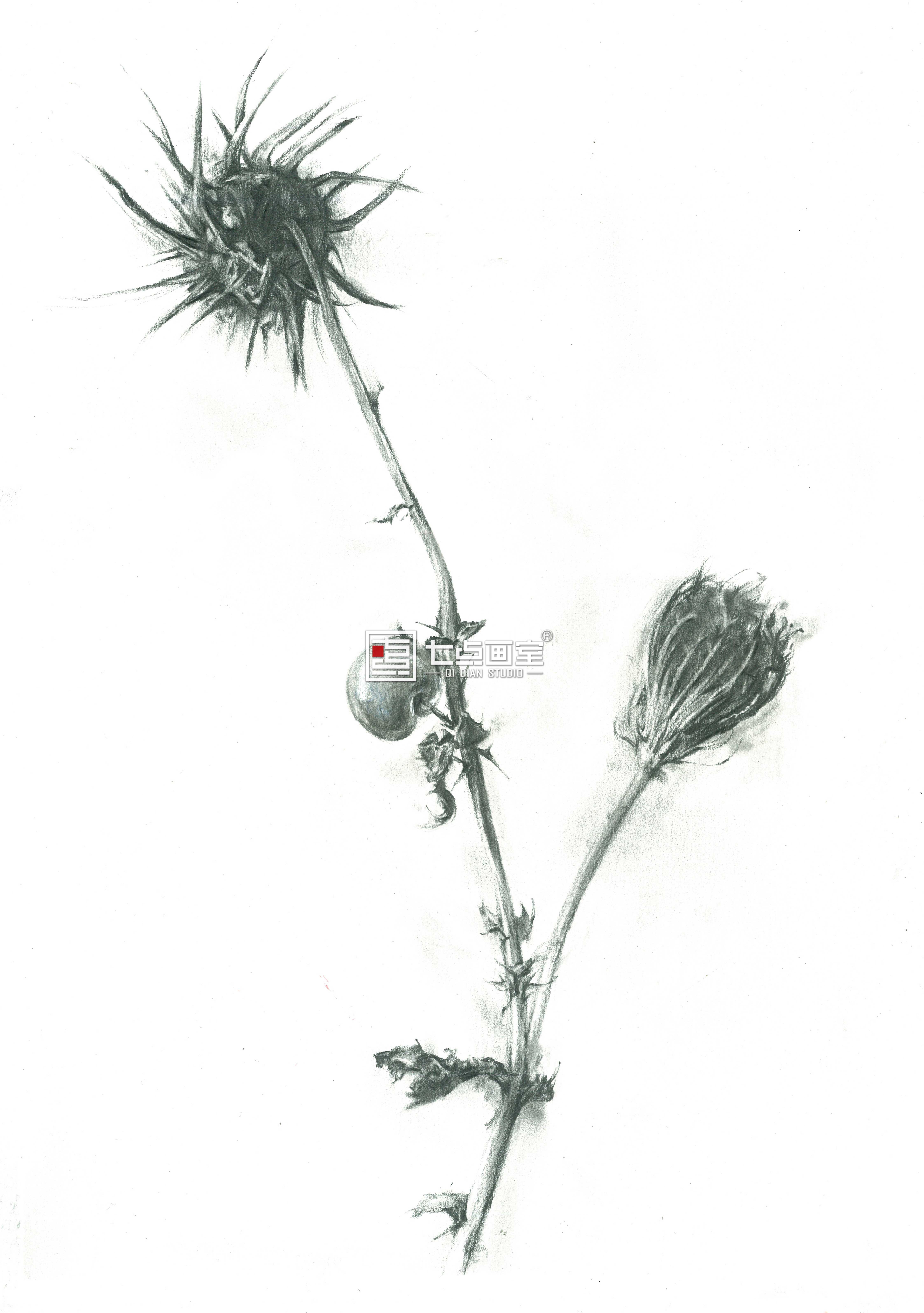 七点画室“拍了拍”你丨端午礼精品来袭 七点画室“拍了拍”你丨端午礼精品来袭