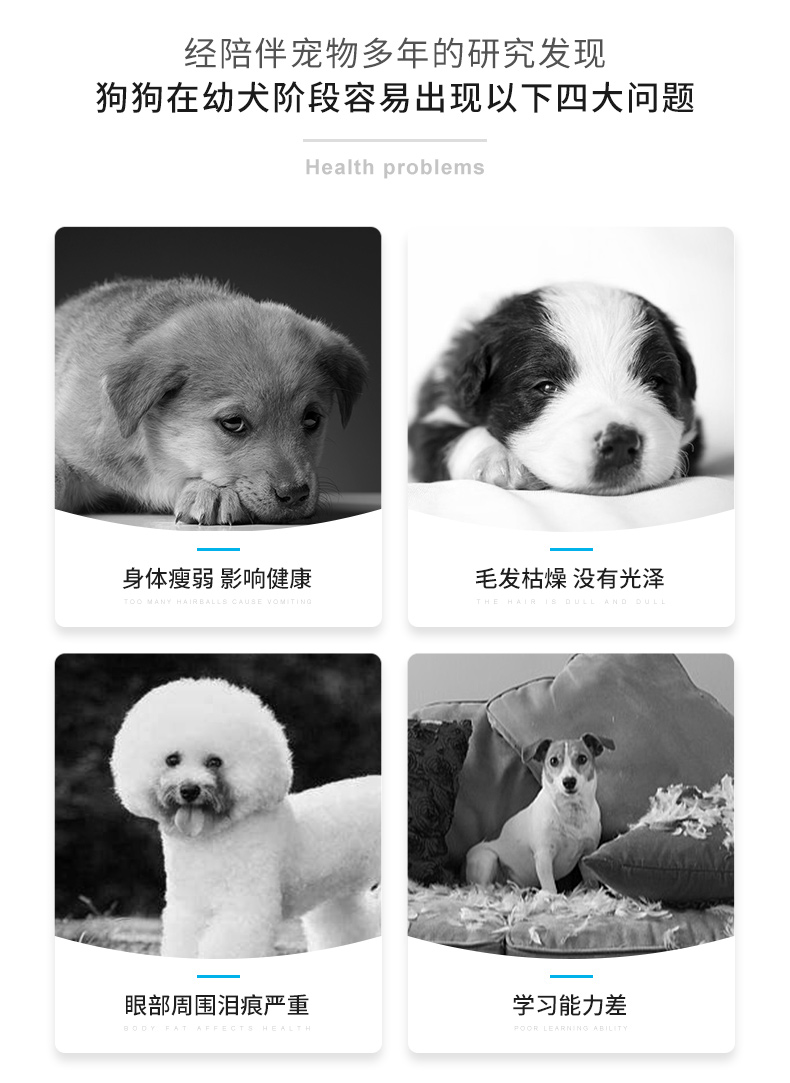 (小型犬)幼犬法国配方犬粮 2000g (小型犬)幼犬法国配方犬粮 2000g