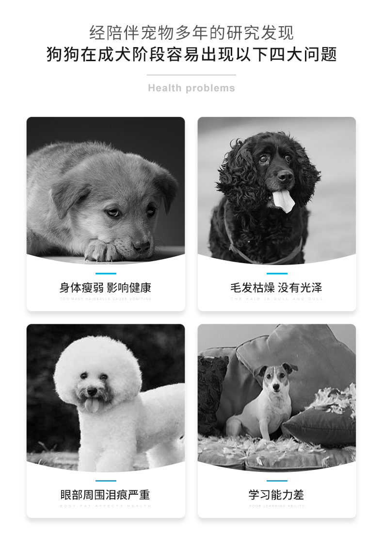 (大型犬)成犬玉米+鸡肉配方犬粮 5000g (大型犬)成犬玉米+鸡肉配方犬粮 5000g