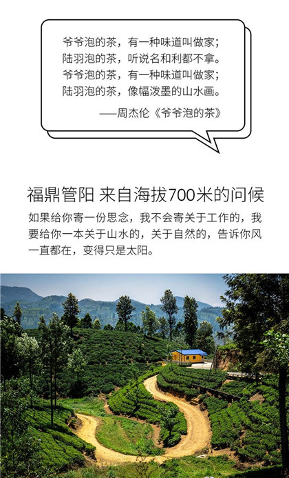 福鼎白茶一壶茶具礼盒定制