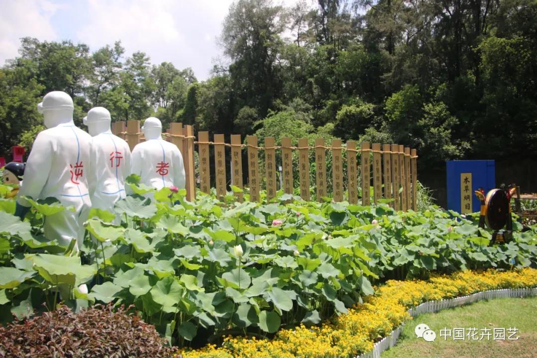 六月蓮荷艷 番禺蓮花山賞新景——第34屆全國(guó)荷花展覽